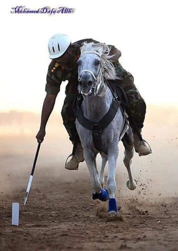 عبد الرحمن الصادق المهدي يضرب الكرة من صهوة جواد في مباراة بولو | Abdelrahman Al Sadiq Al Mahdi striking the ball from horseback in a polo match
